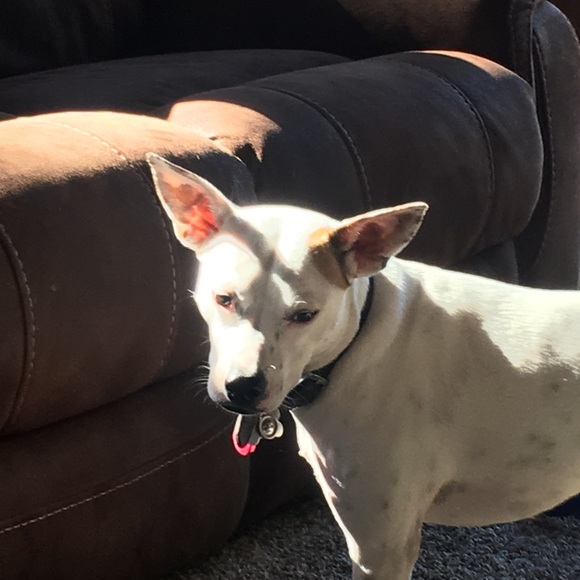 Meet your Posher, Tim - Picture 1 of 1